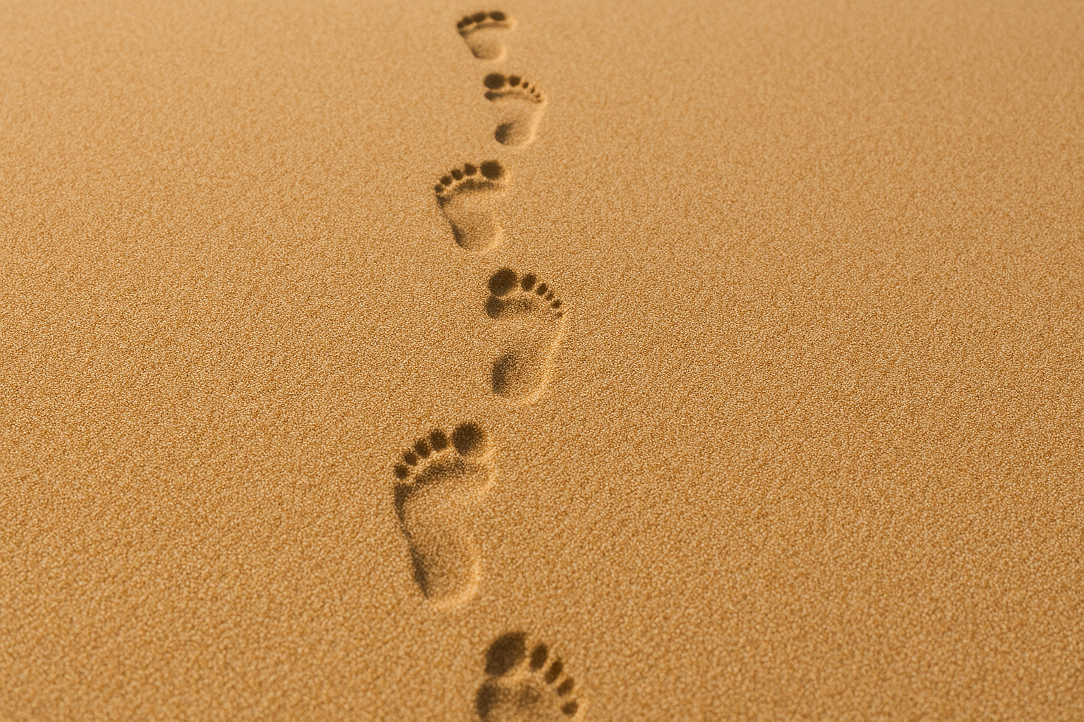 Take small steps and take lots of them in the right direction